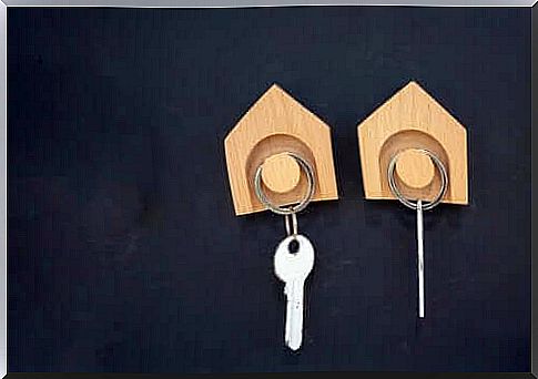 Hooks with keys in the shape of a house