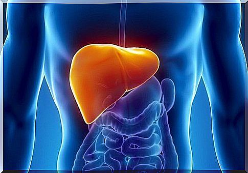 12 foods to strengthen liver function