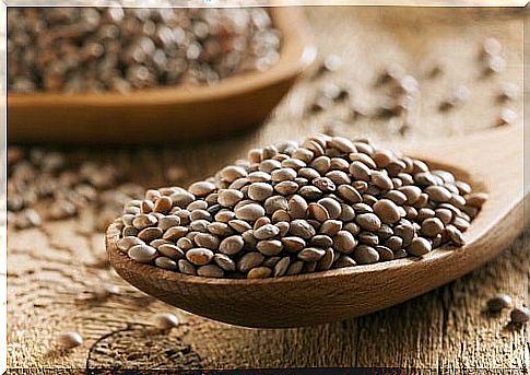 Lentils help to rejuvenate