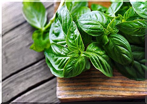 40 Amazing Medicinal Benefits of Basil