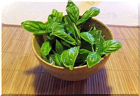 basil leaves