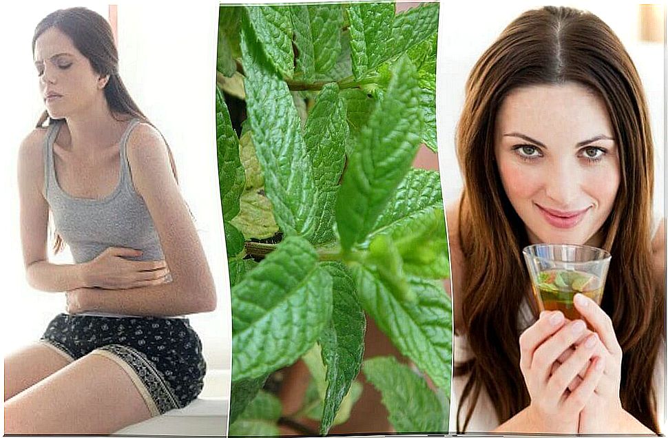 5 Mint Home Remedies You'll Like to Know