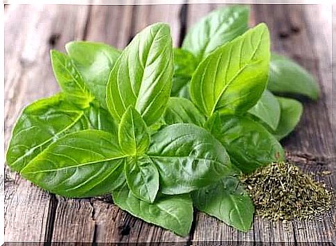 basil leaves