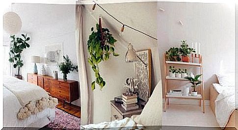 Rooms-with-plants