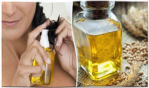 6 benefits of wheat germ oil for hair