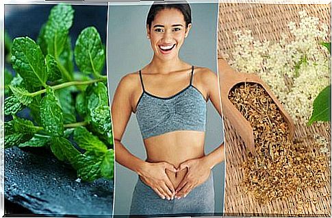 6 healing plants to take care of digestion