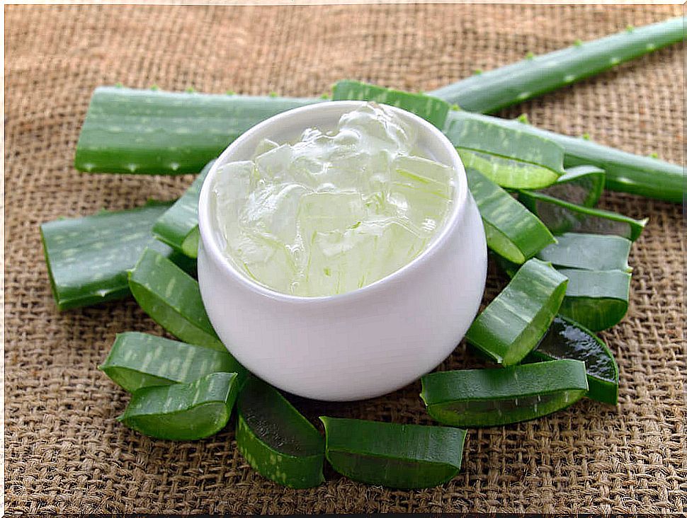 Aloe Vera Helps Fight Psoriasis