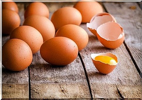 Including eggs in your daily diet can help burn fat