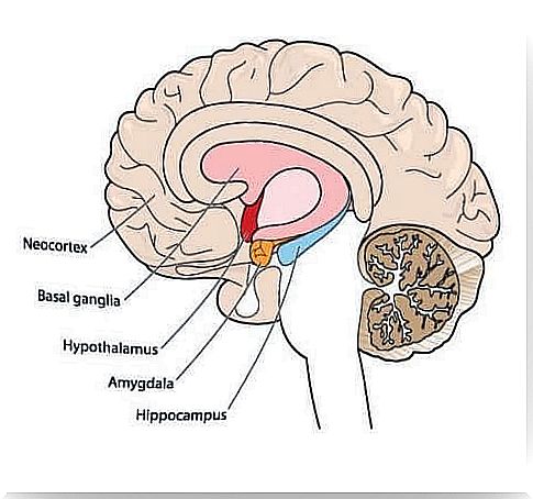 Athetosis: knowing a movement disorder