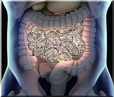 Intestinal microbiota