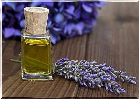 Lavender-on-the-pillow-to-sleep-better