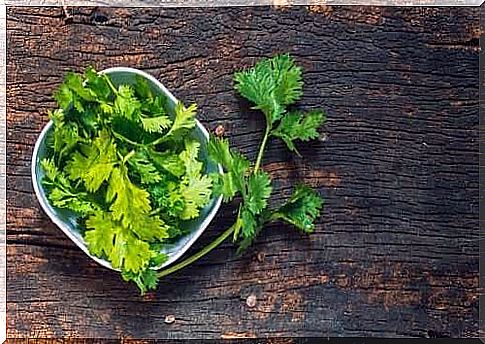 Discover all the amazing properties of cilantro!