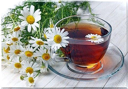 chamomile to treat urticaria