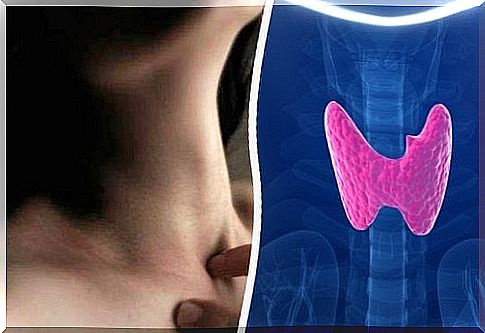 Thyroid gland