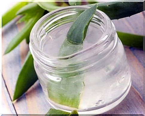 Aloe vera gel against gastritis