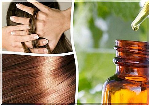 How to prepare a natural serum to nourish and repair hair at home