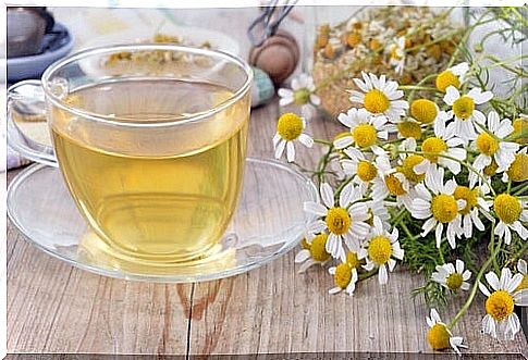 Chamomile tea against migraines