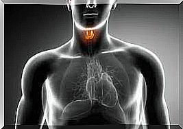 how to care for the thyroid and prevent hypothyroidism