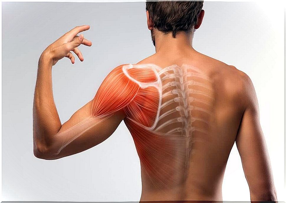 Muscle Spasms: Check Out Natural Solutions