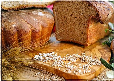 Whole Protein Bread Recipe 