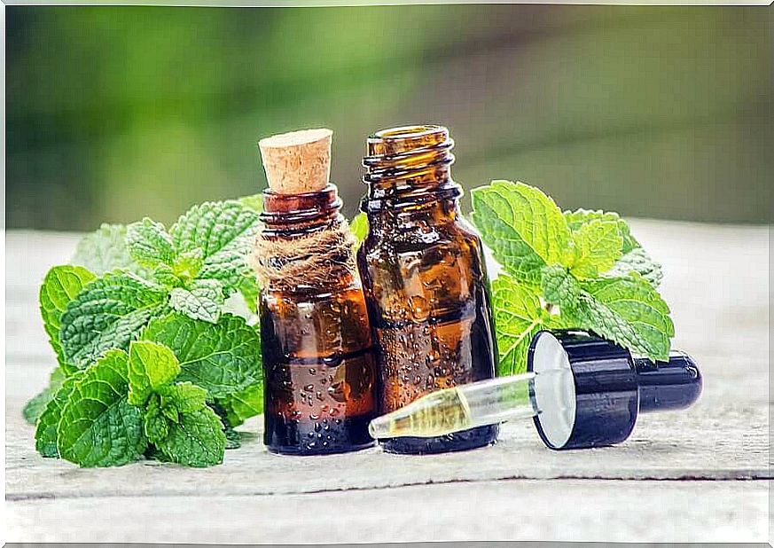 Rosemary and nettle hair treatment