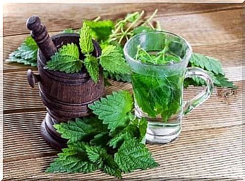 Rosemary and nettle to fight hair loss