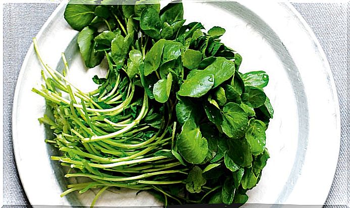 Watercress is one of the foods that strengthen the kidneys.