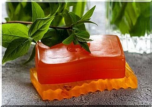 Uses, properties and contraindications of papaya soap