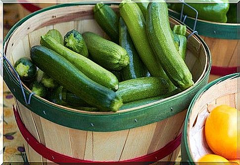 Zucchini Recipes